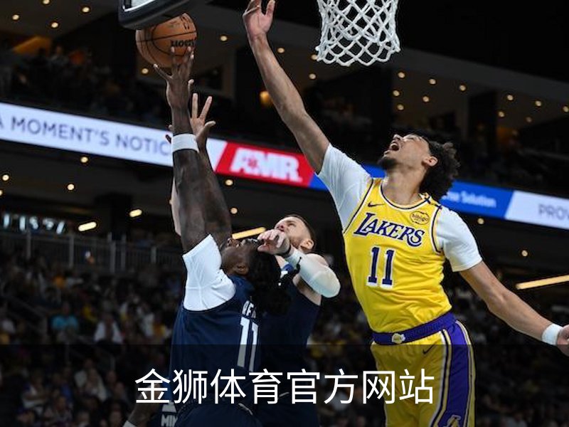金狮体育官方网站介绍